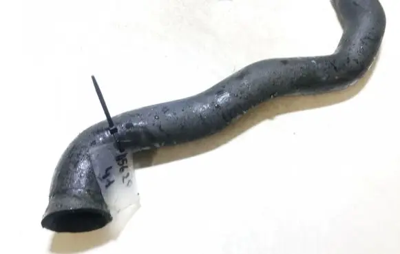 Honda Accord Engine coolant pipe/hose