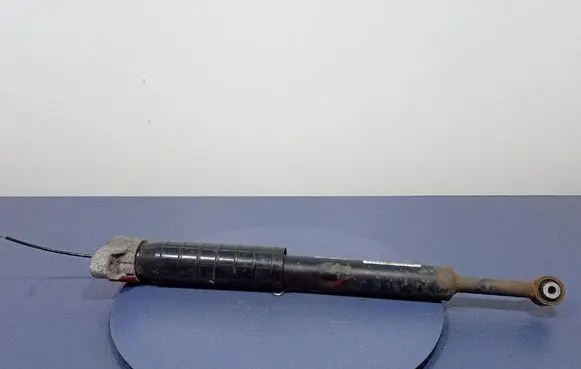 Rear shock absorber/damper