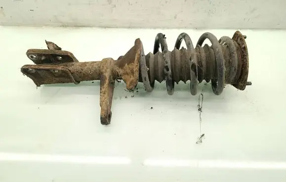 Land Rover Freelander Front shock absorber with coil spring 