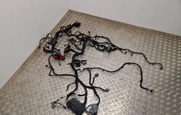 Renault Kadjar Other wiring loom 240111050R 1131NN