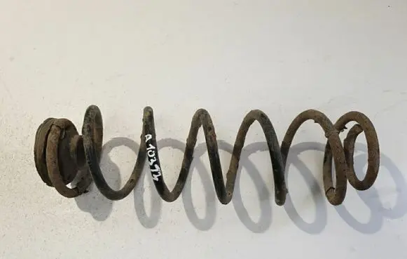Rear coil spring