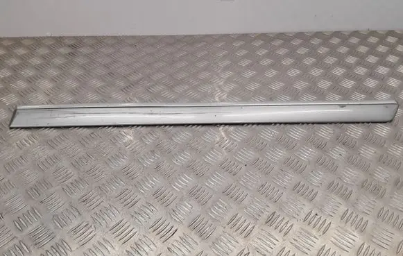 Rear door trim (molding)