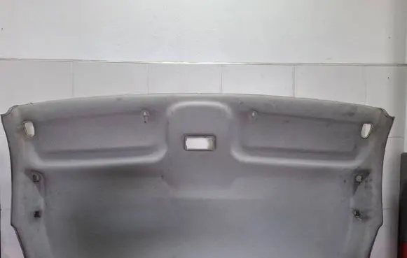 Renault Trafic II (X83) Headlining 8200644231