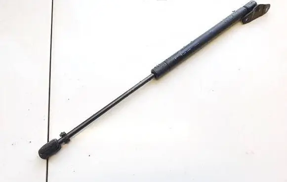 Tailgate/trunk strut/damper