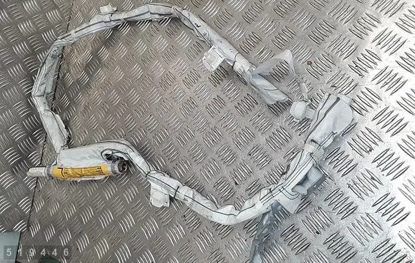 Toyota Prius (XW30) Roof airbag bampt1624