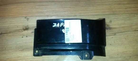 Rear/tail light trim molding