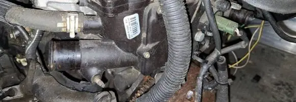 Peugeot 406 Engine coolant pipe/hose 9643211880