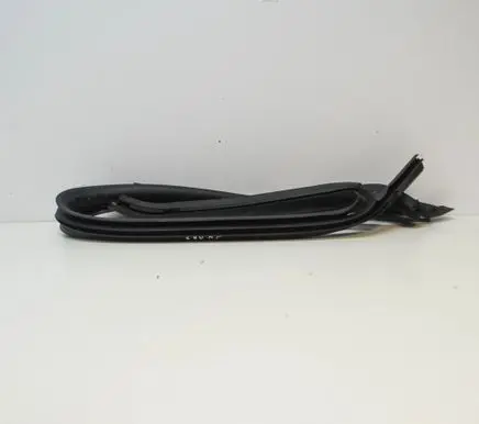 Volkswagen PASSAT CC Rubber seal front coupe door 3C8854543