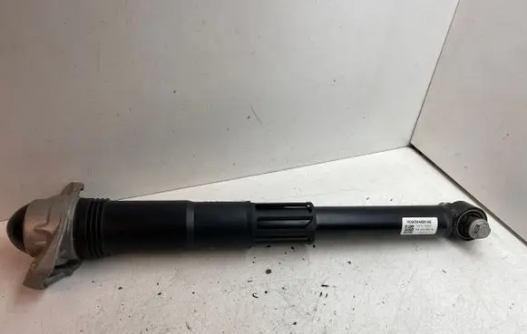 Cupra Born Rear shock absorber/damper 1EA512011AL