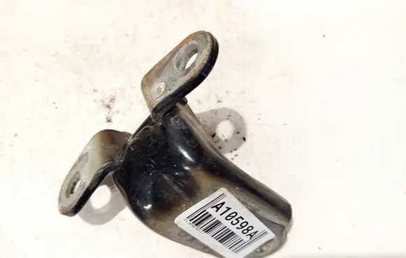 Rear door lower hinge