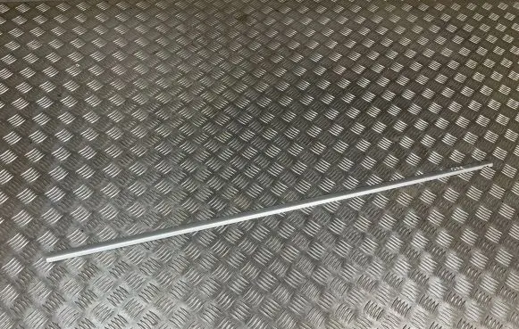 Front door glass trim molding