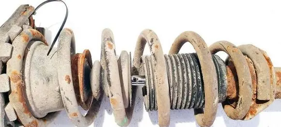 Rear coil spring
