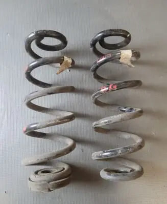 Rear coil spring