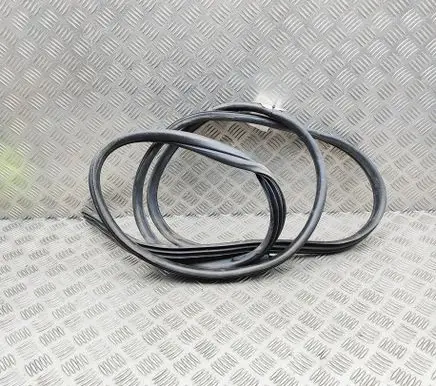 Opel Vivaro Rubber seal front coupe door 93461007