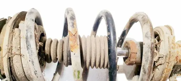 Front coil spring