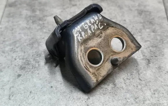 Citroen C4 Grand Picasso Front door lower hinge 