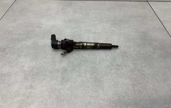 Nissan Qashqai Fuel injector 166006212R H8201100113