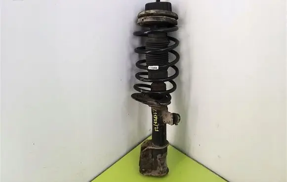 Fiat Stilo Front shock absorber with coil spring