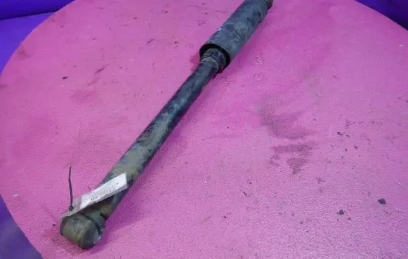Fiat Bravo Rear shock absorber/damper