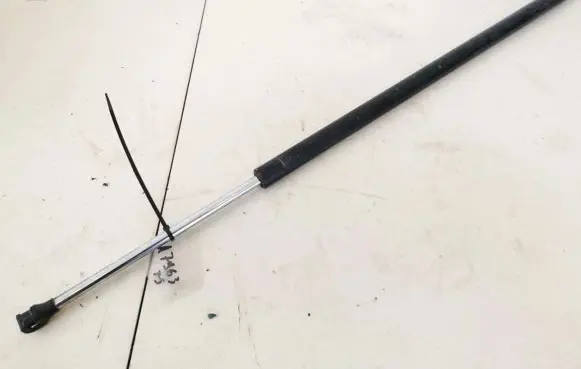 Tailgate/trunk strut/damper