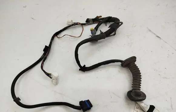 Front door wiring loom