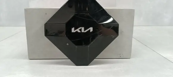 KIA Sportage Original wheel cap 52960R2510