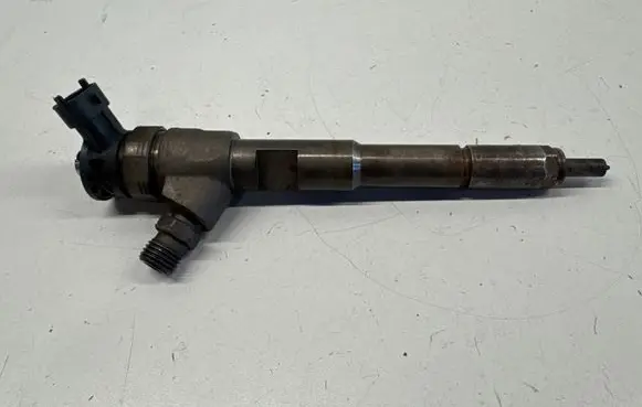 Renault Kangoo II Fuel injector 0445110485