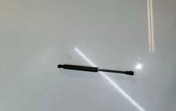 BMW X5 E53 Front bonnet/hood damper/strut 8402551
