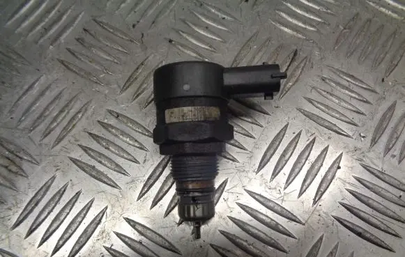 Renault Vel Satis Fuel pressure regulator 0281002753
