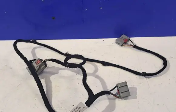 Other wiring loom