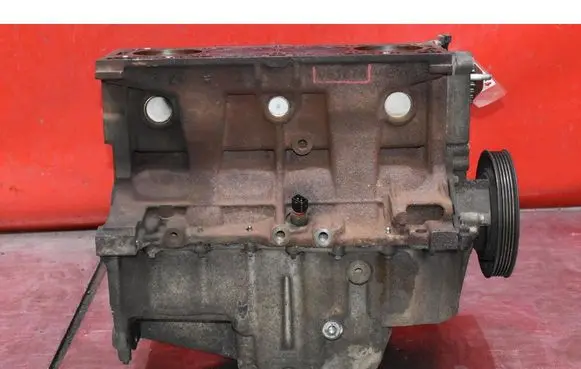 Renault Megane II Engine block 061875