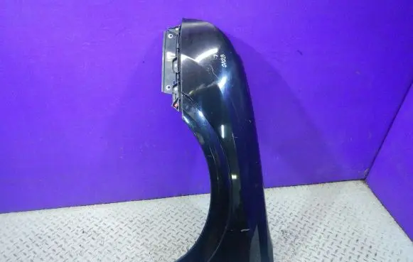 Opel Signum Fender Z20R