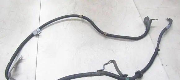 Other wiring loom
