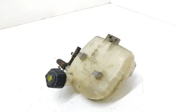 Renault Twingo II Coolant expansion tank/reservoir 8200369313