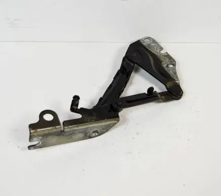 Volkswagen Golf V Engine bonnet/hood hinges 5M0823302