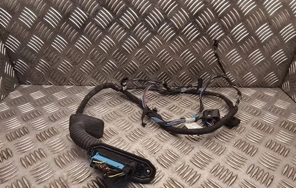 BMW X1 E84 Front door wiring loom 9233551 923355101 9191808