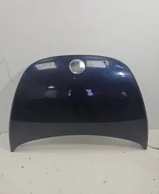 Volkswagen New Beetle Engine bonnet/hood