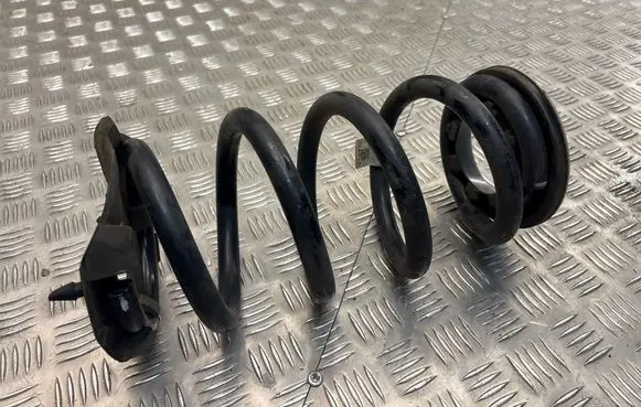 Tesla Model Y Rear coil spring 118847900