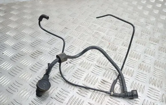 Citroen C5 Vacuum line/pipe/hose 0204221955