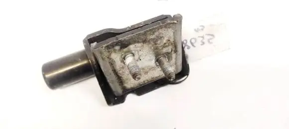Renault Modus Rear door lower hinge 213724