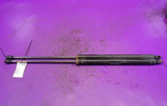 Tailgate strut