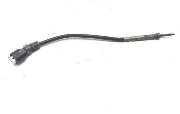 Exhaust gas temperature sensor