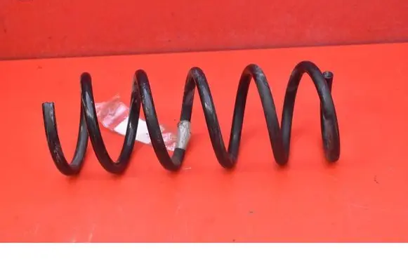 Renault Latitude (L70) Rear coil spring