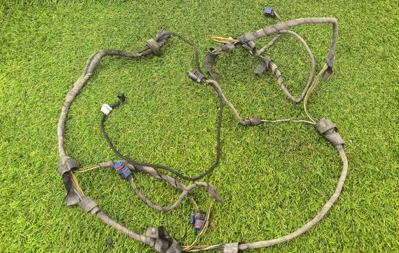 Mercedes-Benz CLS AMG C219 Parking sensor (PDC) wiring loom A2195404805