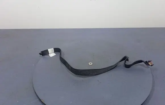 BMW X6 E71 Other wiring loom 6950093