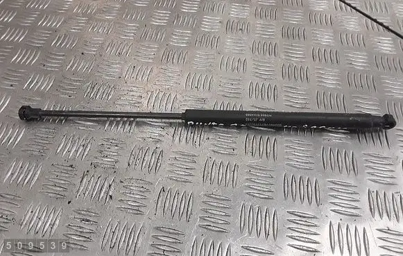 Tailgate/trunk strut/damper