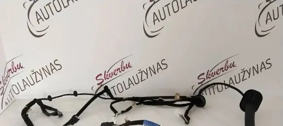 Renault Trafic III (X82) Front door wiring loom 241259197R 93460095