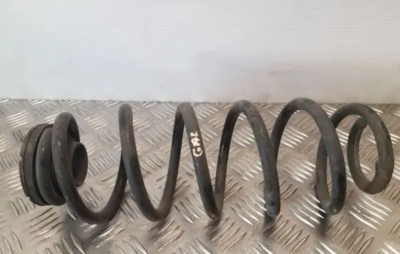 Seat Leon (1M) Rear coil spring