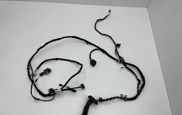 Front door wiring loom