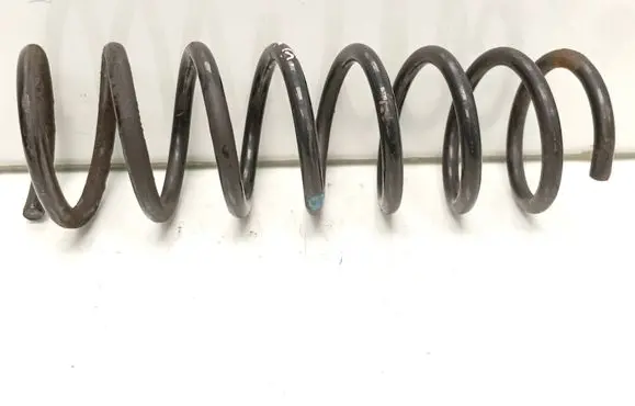 Rear coil spring